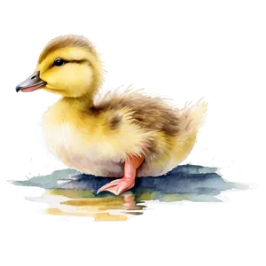 Duckling In Watercolor PNG Cfj PNG