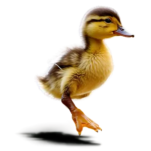 Duckling Jumping Png Bat PNG image