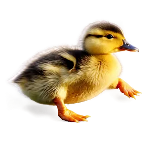 Duckling Jumping Png Bxo82 PNG image