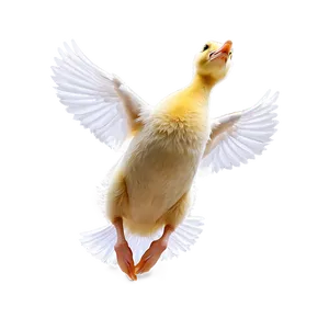 Duckling Jumping PNG Lin