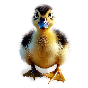 Duckling Siblings Png 73 PNG image