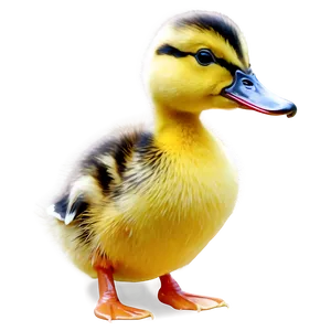Duckling Vector Art PNG Oyc5 PNG