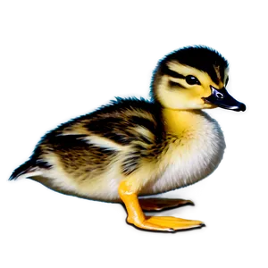 Duckling With Butterfly PNG 91