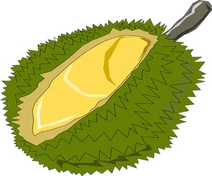Durian Fruit Illustration.png PNG image