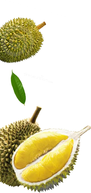 Durian Fruit Wholeand Sectioned PNG image