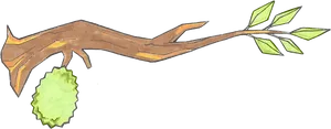 Durianon Tree Branch Illustration PNG image