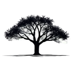 Dusk Tree Silhouette PNG Mpt PNG