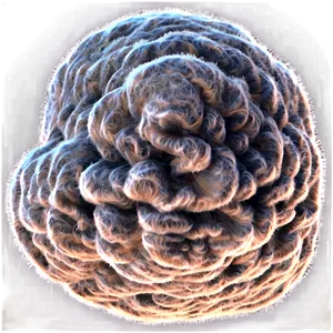 Dust Explosion Texture Effect PNG 60