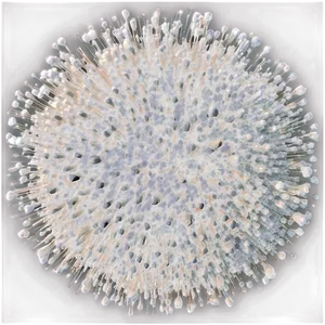 Dust Particles Close-up Texture PNG Toe76 PNG