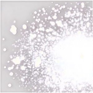 Dust Particles Effect PNG 05042024