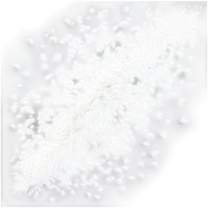 Dust Particles In Air Png Qus80 PNG image