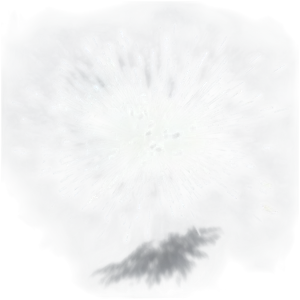 Dust Particles In Morning Light PNG Gmm36 PNG