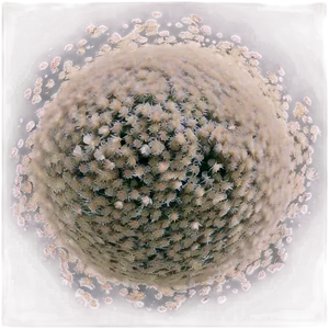 Dust Particles In Vintage Film Look PNG 95 PNG
