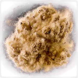 Dust Particles Texture Png Say77 PNG image