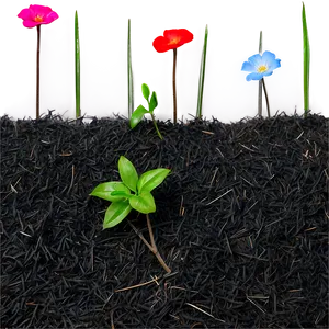 Dyed Black Beauty Mulch PNG Flq PNG