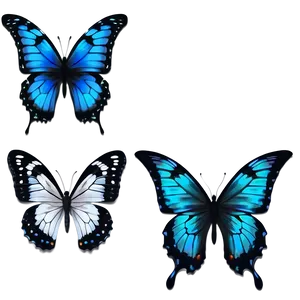 Dynamic Black Butterfly PNG Drp70 PNG