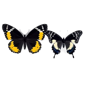 Dynamic Black Butterfly PNG Xeo