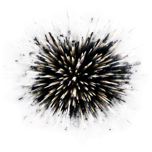 Dynamic Explosion Effect Png Msd15 PNG image