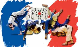 Dynamic Judo Techniques Collage PNG image