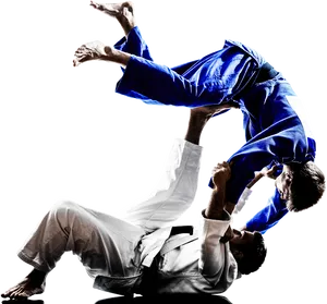 Dynamic Judo Throw Action PNG image