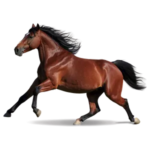 Dynamic Mustang Horse Action PNG Mqk