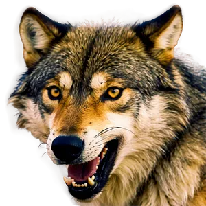 Dynamic Wolf Head Motion PNG 06122024 PNG