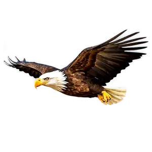 Eagle Bird Soaring PNG 05032024