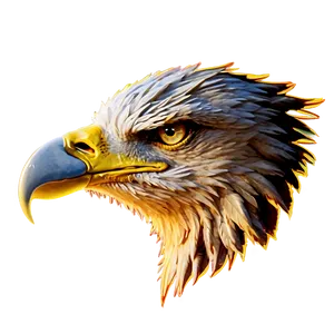 Eagle Head D PNG image