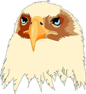 Eagle Head Illustration