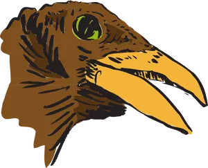 Eagle Head Illustration PNG image