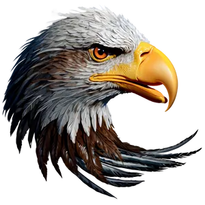 Eagle Head With Detailed Feathers PNG 3