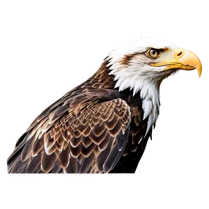 Eagle Head With Open Beak PNG 06292024