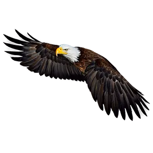 Eagle Head With Open Beak PNG 06292024