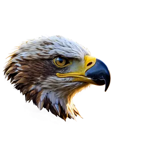 Eagle Head With Open Beak PNG Dyk22 PNG