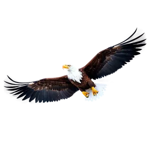 Eagle Wings D PNG image