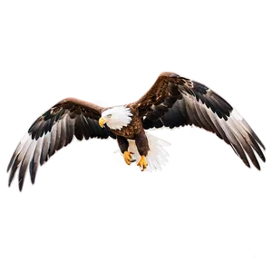 Eagle Wings In Motion Png 84 PNG image