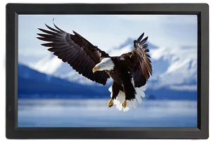 Eaglein Flight C R T Display PNG image