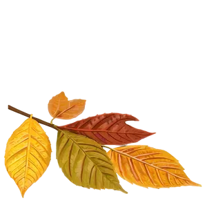 Early Autumn Fallen Leaves PNG 84 PNG