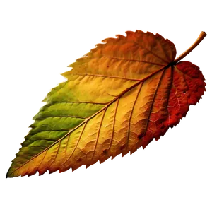 Early Autumn Fallen Leaves PNG Rbu PNG