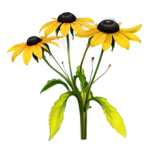 Early Bloom Black Eyed Susan PNG 83