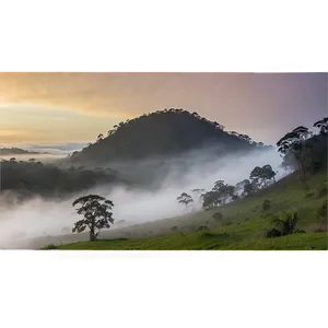 Early Morning Mist PNG 05242024 PNG