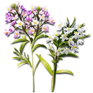 Early Spring Wildflowers PNG Ckp