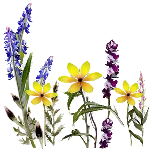 Early Spring Wildflowers PNG Pfu