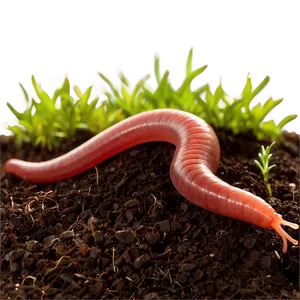 Earthworm In Garden Soil Png Vph93 PNG image