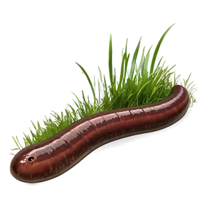 Earthworm In Grass Picture Png 69 PNG image