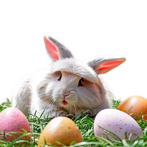 Easter Bunny Hide And Seek PNG 11 PNG