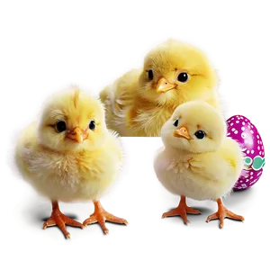 Easter Chick Cute PNG 36