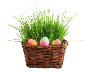 Easter Egg Basketwith Grass PNG image