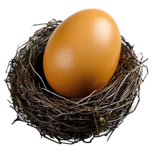 Easter Egg Nest PNG 05252024