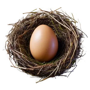Easter Egg Nest PNG Nia49